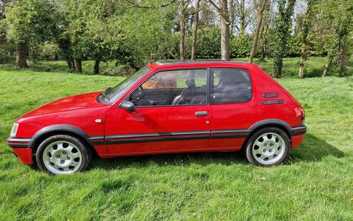 1988 Peugeot 205 GTI (picture 1 of 24)