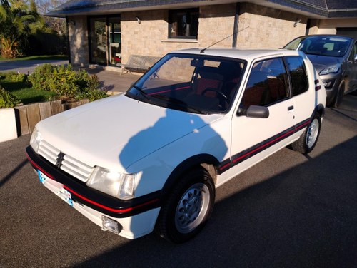 PEUGEOT 205 GTI - 1991 For Sale