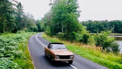 1973 Peugeot 304 Convertible For Sale