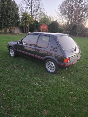 1986 Peugeot 205 GTI For Sale