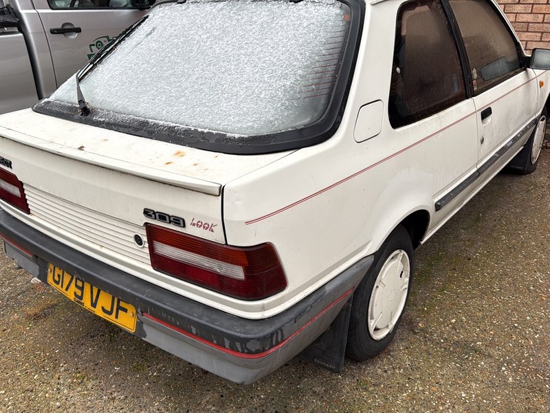 1989 Peugeot 309