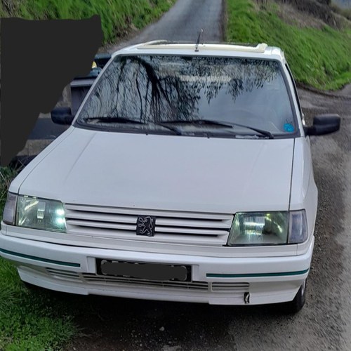 1989 Peugeot 309 GT Kaufen Bei