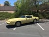 1980 Pontiac Firebird Yellow Bird. For Sale