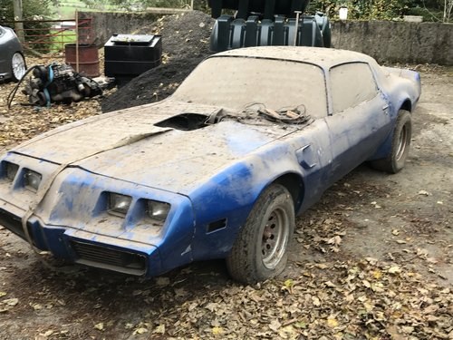 1979 79 Trans am rolling shell For Sale