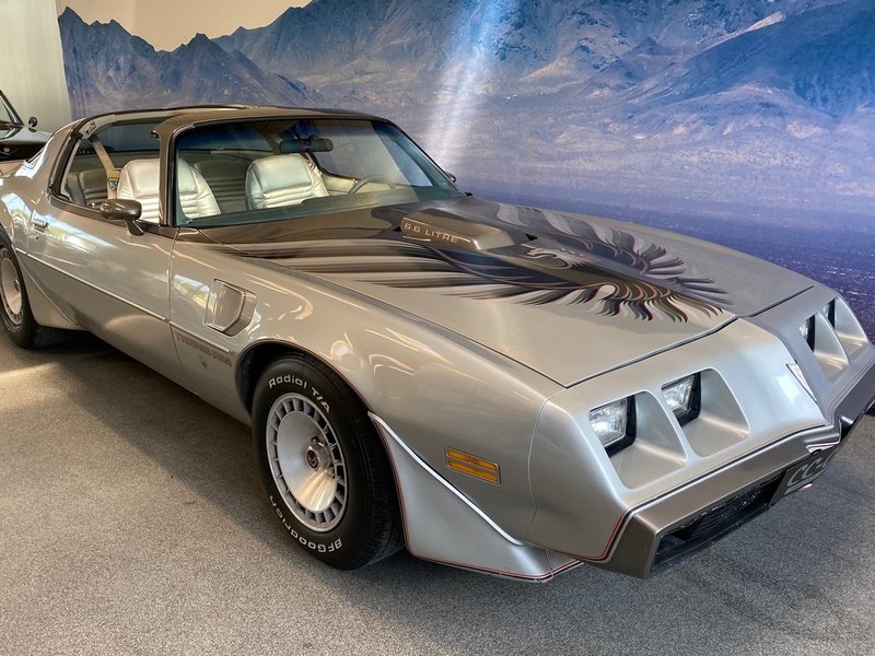 Pontiac Trans AM Firebird 6,6 L