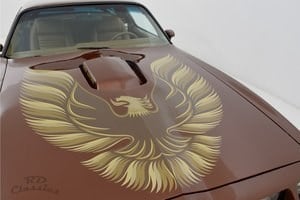 1979 Pontiac Trans AM SOLD