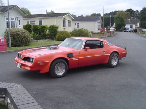 1978 trans am 6.6 coupe For Sale