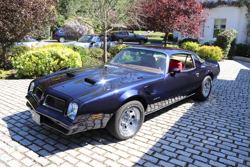 1976 Pontiac Firebird In vendita