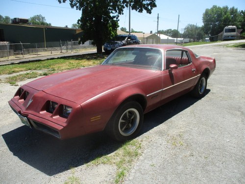 1979 Pontiac Firebird For Sale