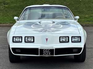 1979 Pontiac Firebird Trans AM Special Edition For Sale (picture 2 of 12)