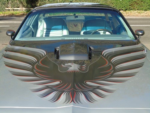 1979 Pontiac Firebird PROFESSIONAL RESTORATION 6.6 SOLD