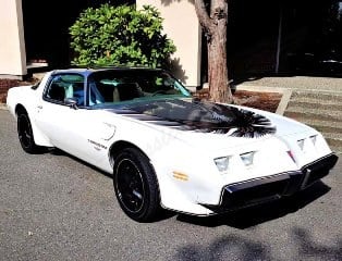 1980 Pontiac Trans Am Coupe Pace Car mods LS1 1 off AC Auto Kaufen Bei
