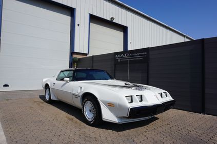Picture of Pontiac Firebird Trans Am 4.9 V8 Turbo Pace Car Y85 1981 (W) For Sale