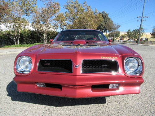 1976 Pontiac Firebird - 3