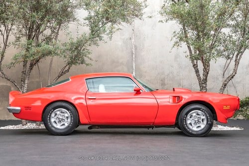 1973 Pontiac Firebird - 2