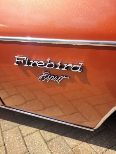 1978 Pontiac Firebird - 2