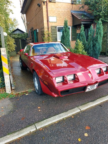 1980 Pontiac Firebird Trans Am