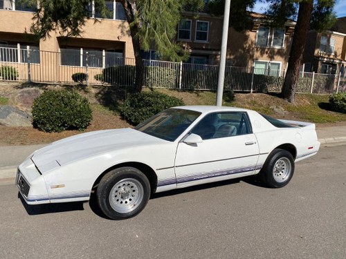 PONTIAC Firebird 500 limited Édition - 1984 En Venta