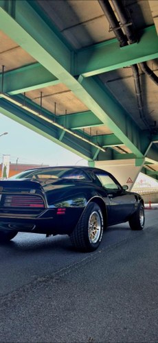 1977 PONTIAC Transam 6.6 For Sale