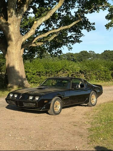 1980 Pontiac Firebird Trans Am