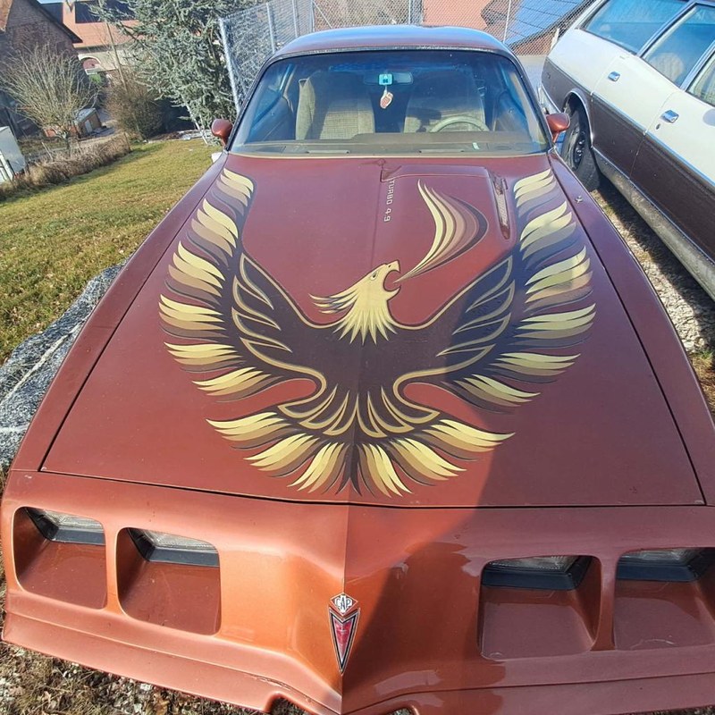 1980 Pontiac Firebird - 2 1980 Pontiac Firebird - 2