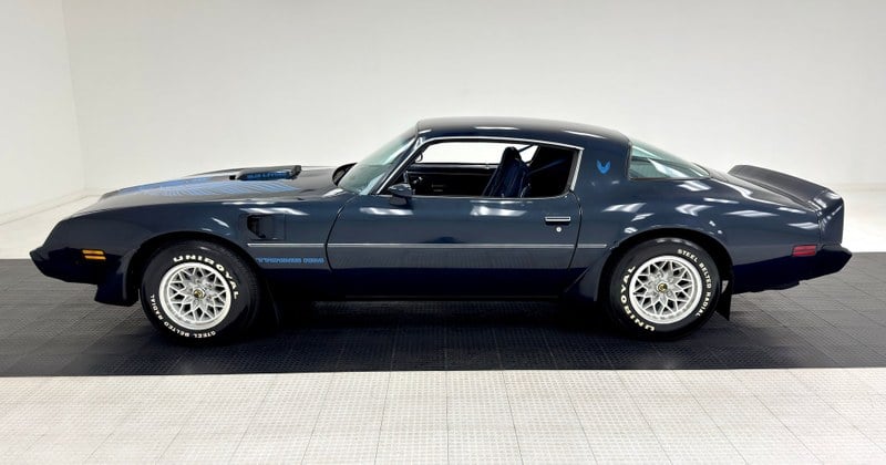 1981 Pontiac Firebird - 2 1981 Pontiac Firebird - 2
