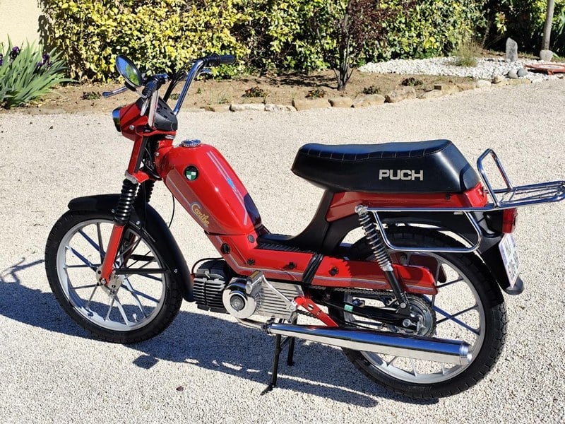 1981 Puch MV50 - 1 1981 Puch MV50 - 1