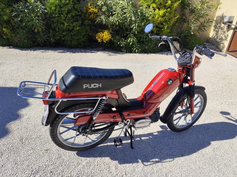 1981 Puch MV50 - 2 1981 Puch MV50 - 2