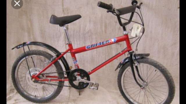 Raleigh grifter bike hotsell