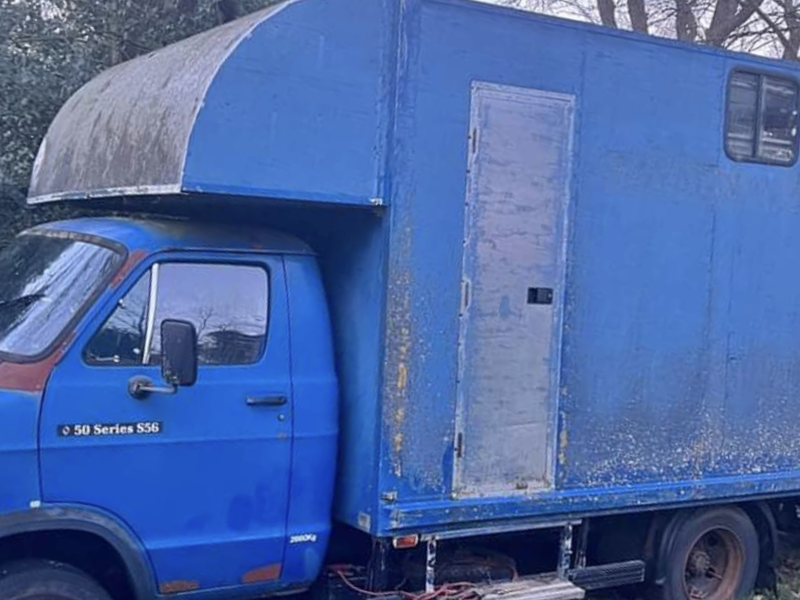 Rapid Classics: Eine Suche. Alle Oldtimer. 10 » Rapid Classics: Eine Suche. Alle Oldtimer. 1989 Renault Trucks Dodge 50 series 56