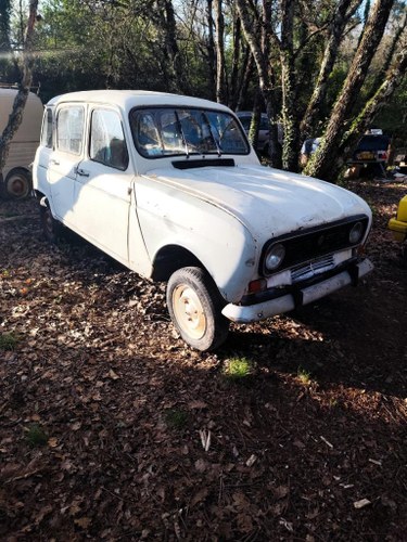 RENAULT 4L (R4L) - 1977 Kaufen Bei