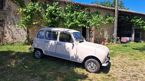 1988 RENAULT 4L (R4L) For Sale
