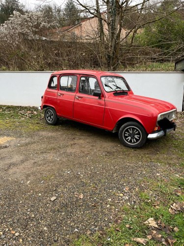 1991 Renault 4L For Sale