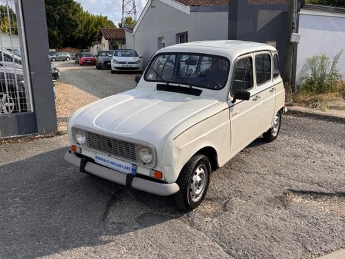 1989 RENAULT 4L (R4L) SAVANE For Sale