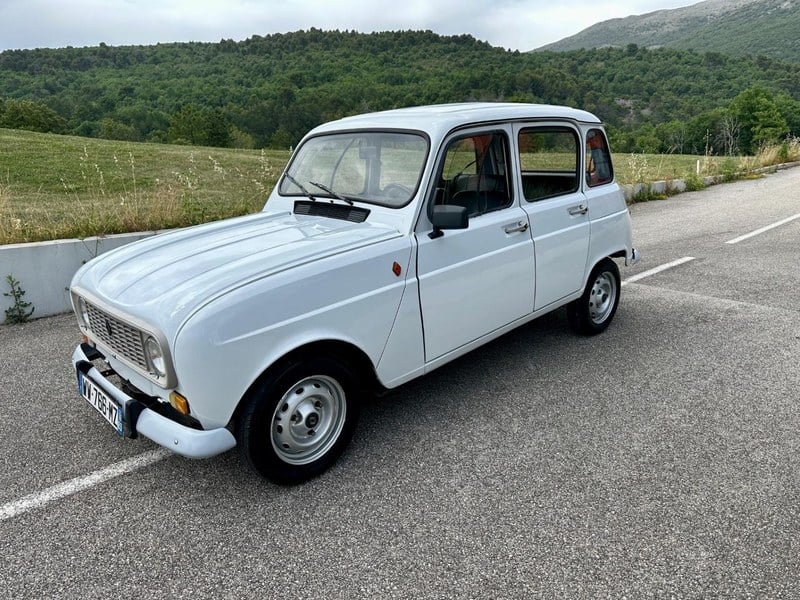 1991 Renault 4L