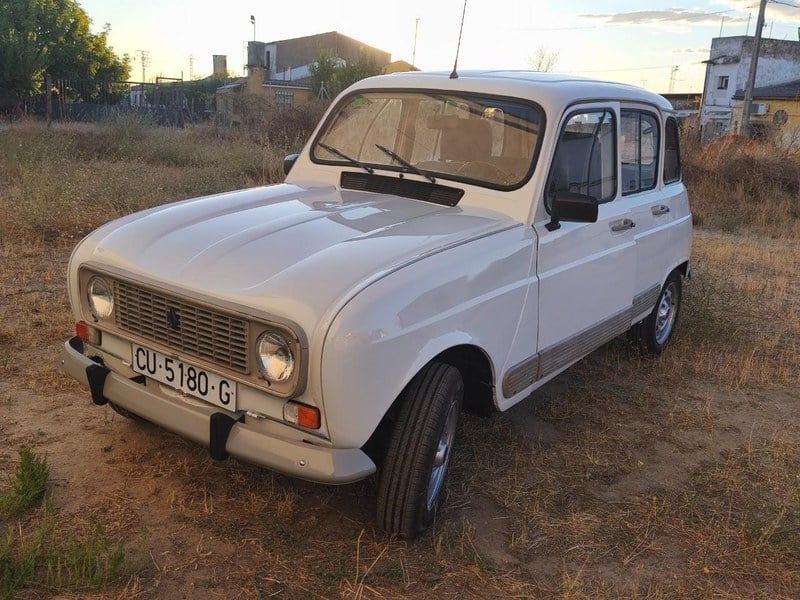 1991 Renault 4L