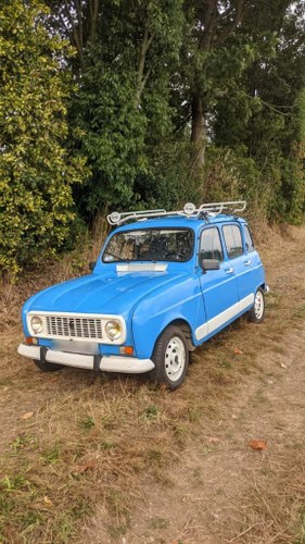 1983 Renault 4L Te koop