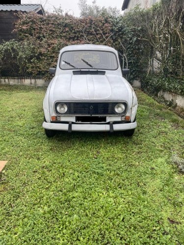 1991 Renault 4L Till salu