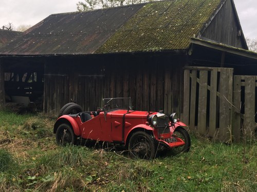 1929 Riley Nine 2 seater special For Sale