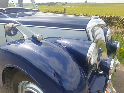 1952 Riley RMB 2.5 ……NOW SOLD…. SOLD