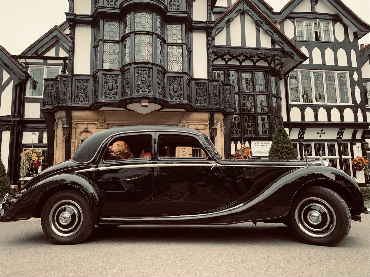 1953 Riley RMF