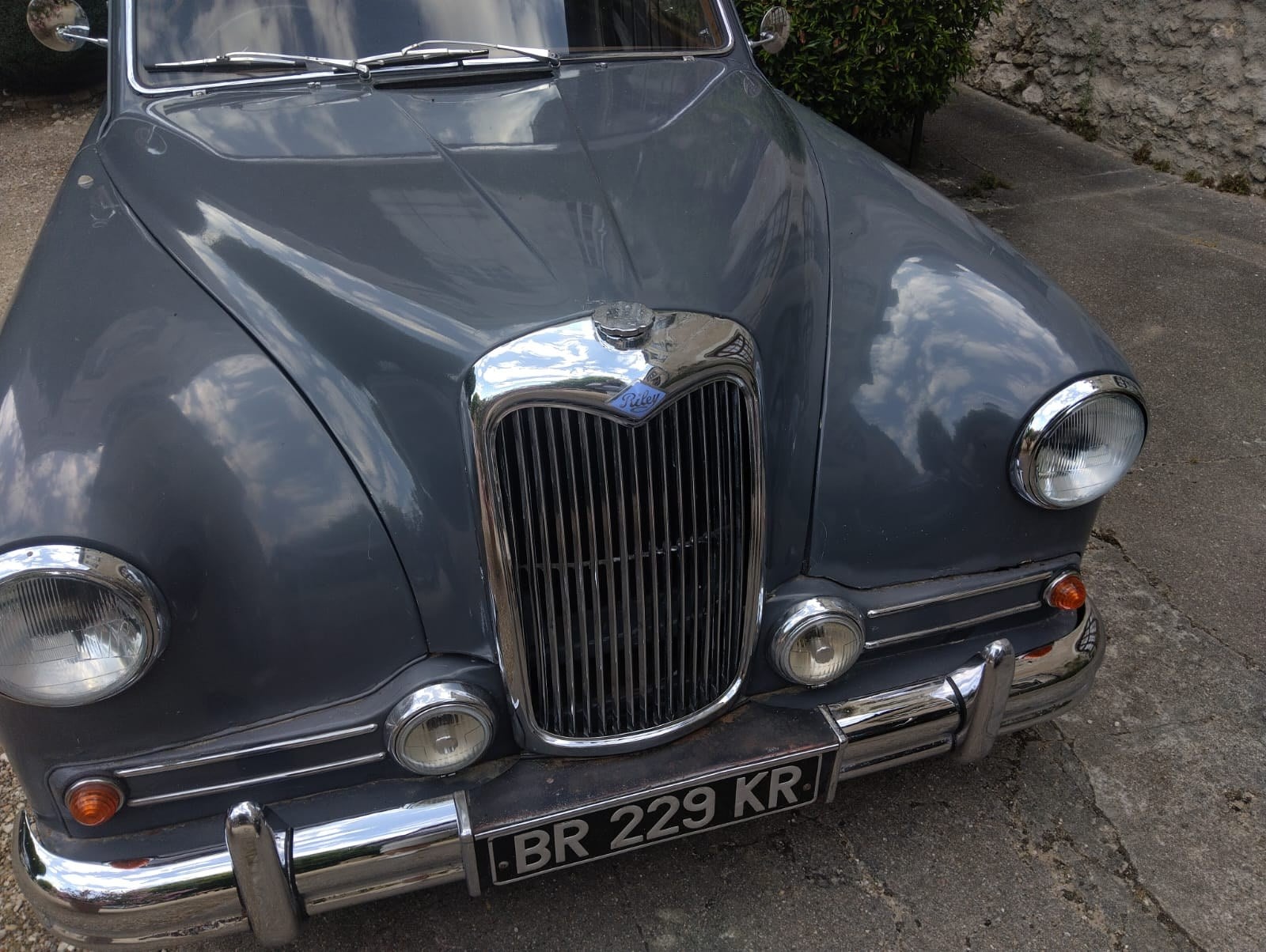 1955 Riley Pathfinder, foto 1