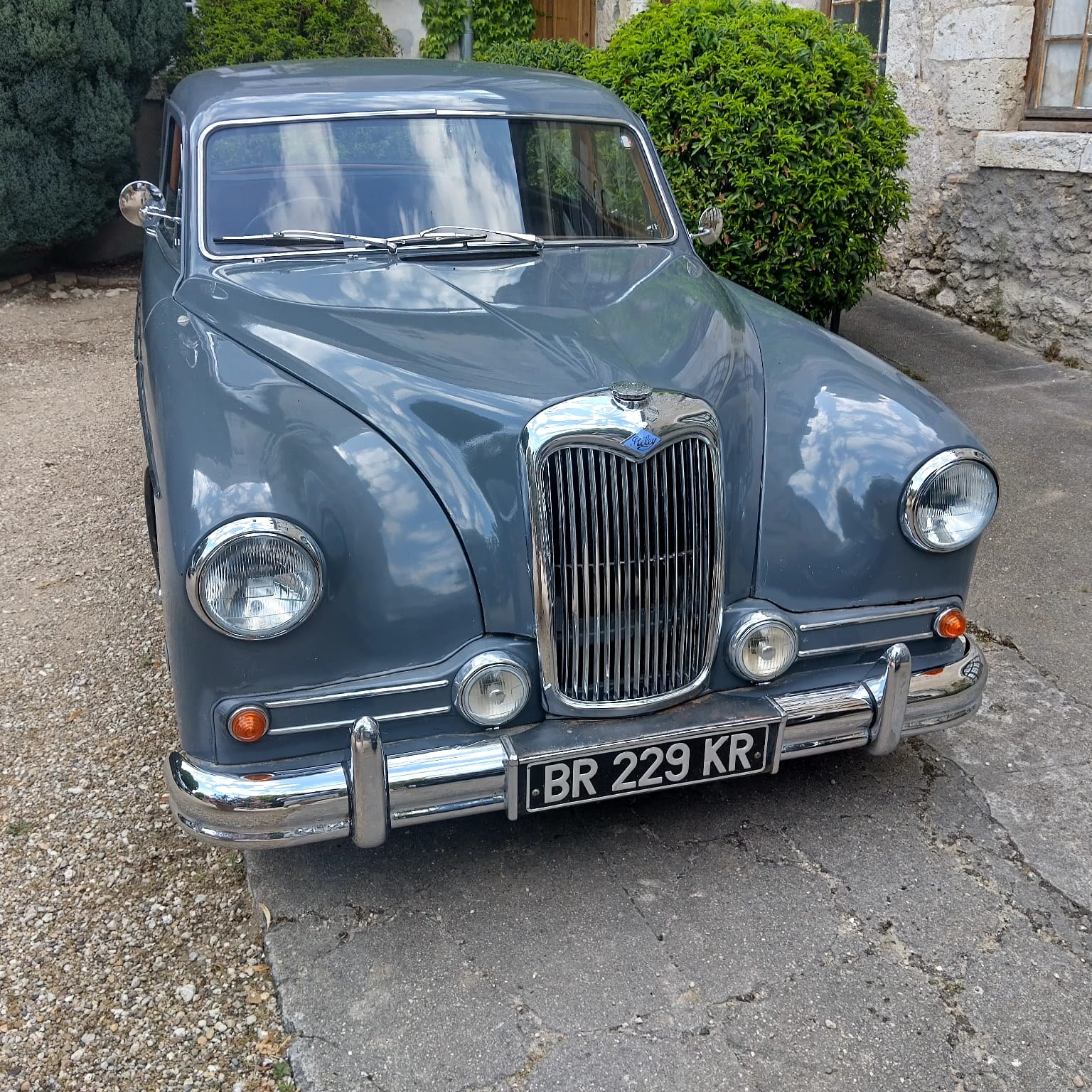 1955 Riley Pathfinder, foto 6