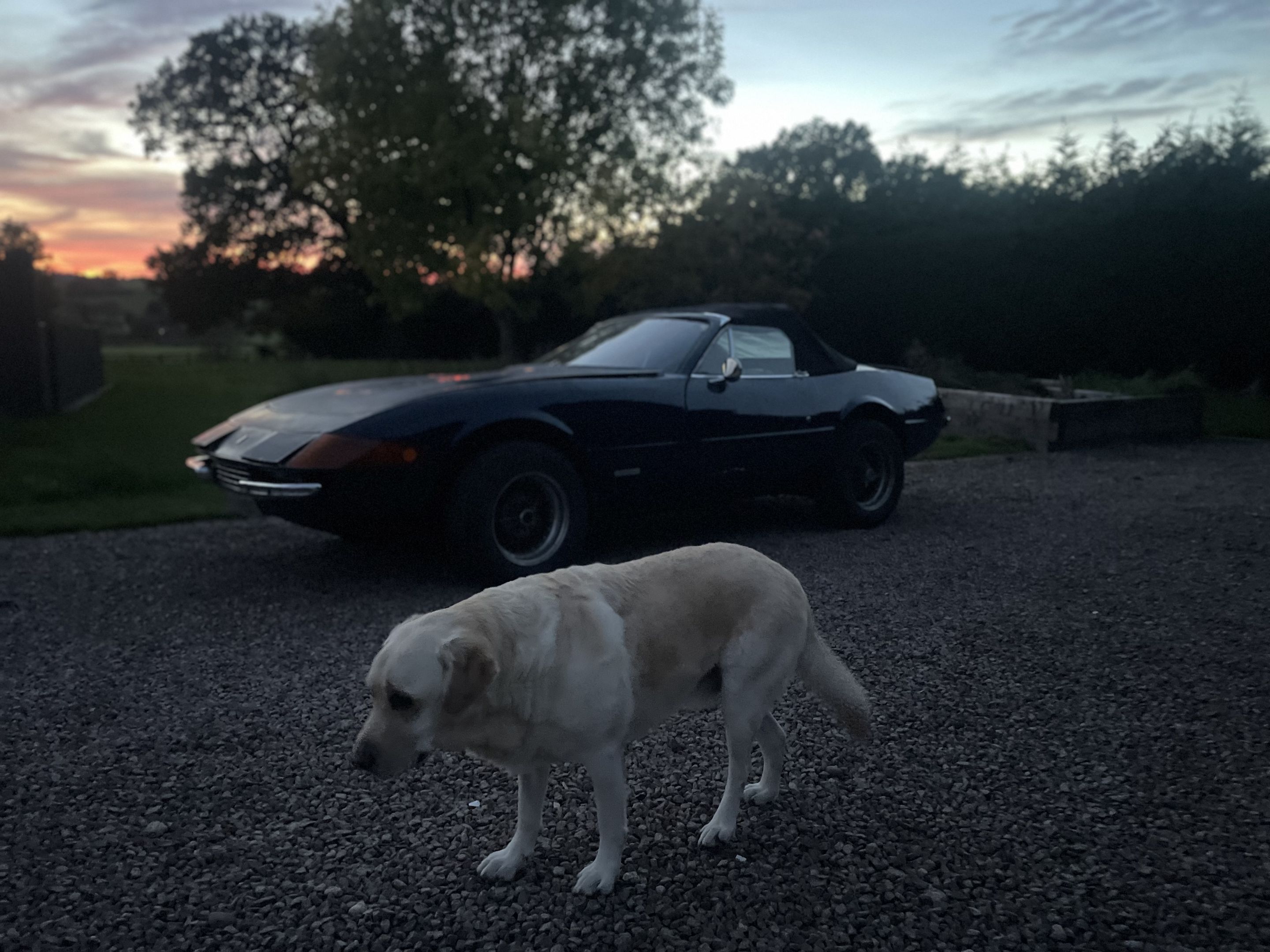 1977 Robin Hood Daytona sport