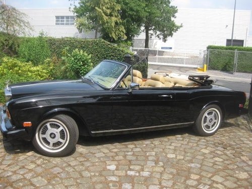 ROLLS ROYCE Corniche Cabriolet - 1981 In vendita