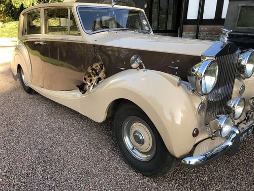 Rolls Royce Silver Wraith 1952 Motor Show car P/ex SOLD