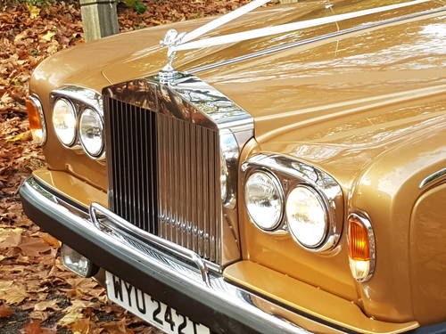 1978 Beautiful Honey Gold and Walnut Roof For Sale