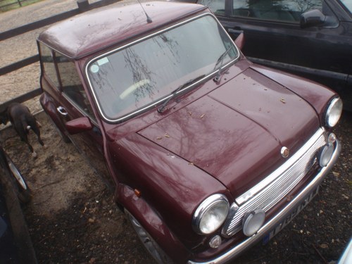 1999 Mini 40th 25k 1  Owner, Uk Delivered Mulberry For Sale