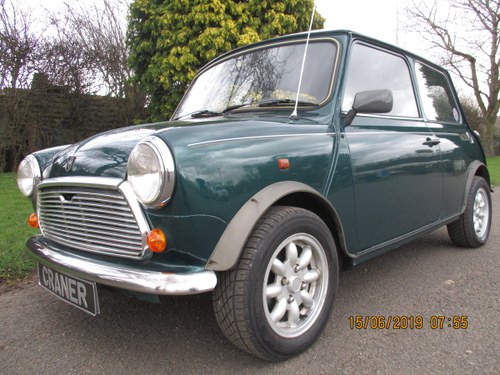 1989 Low Mileage Mini Racing Flame VENDIDO