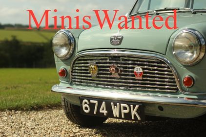 ** MINIS WANTED ---- MINIS WANTED **